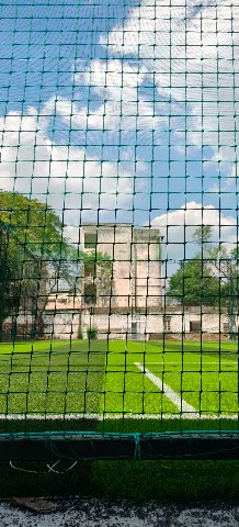 Turf photo 4