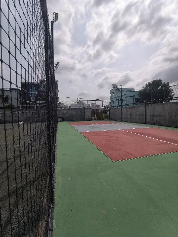 Turf photo 6