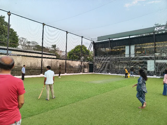 Turf photo 2
