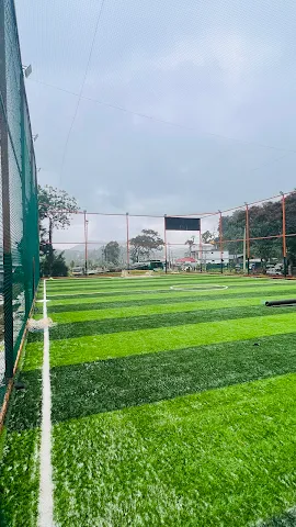 Turf photo 2