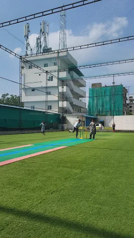 Turf photo 2