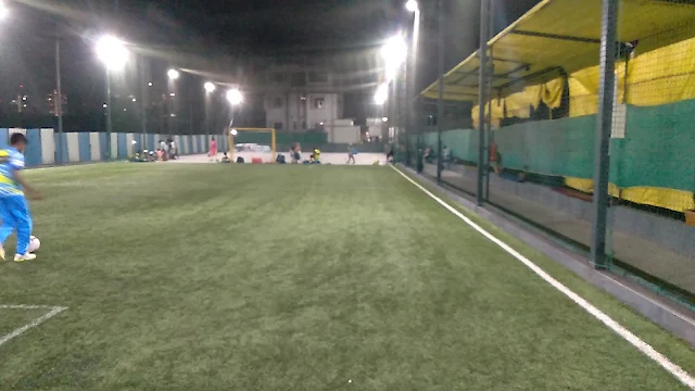 Turf photo 2