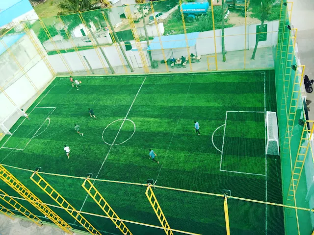 Turf photo 5