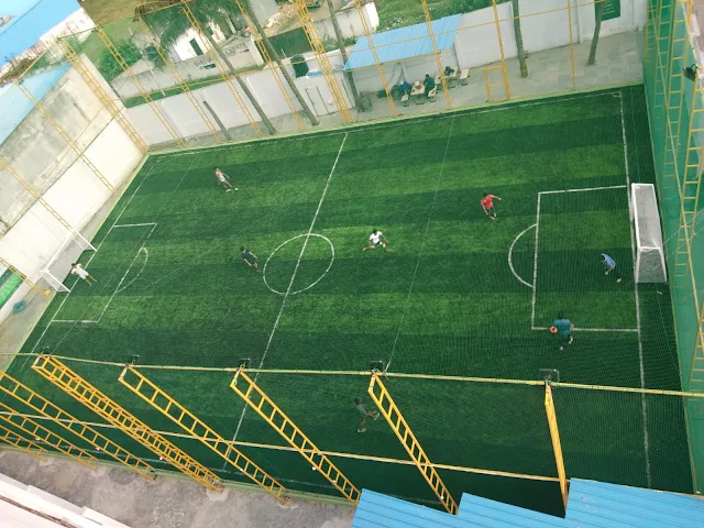 Turf photo 2