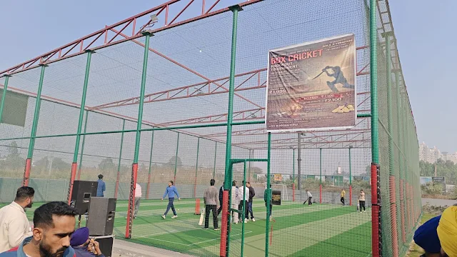 Playx Turf