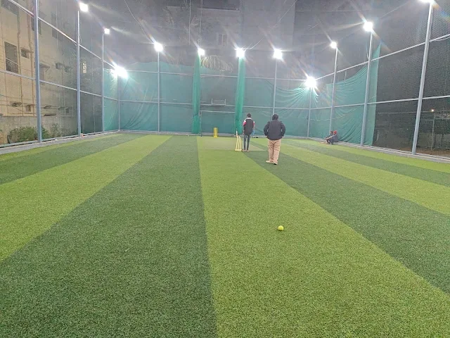 Turf photo 2