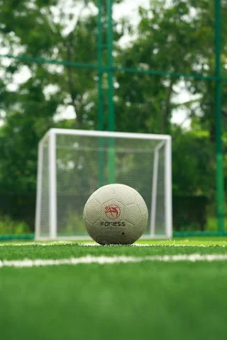 Turf photo 5