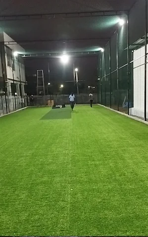 Turf photo 2