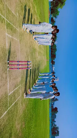 Turf main photo