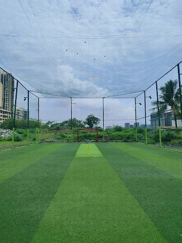 Turf photo 2