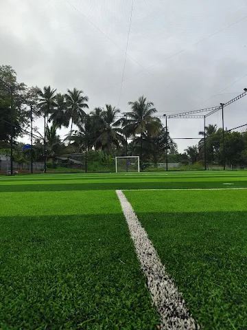 Turf photo 3