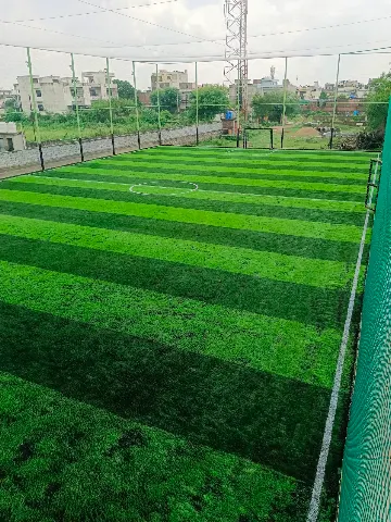 Turf photo 2