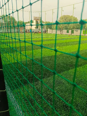 Turf photo 3