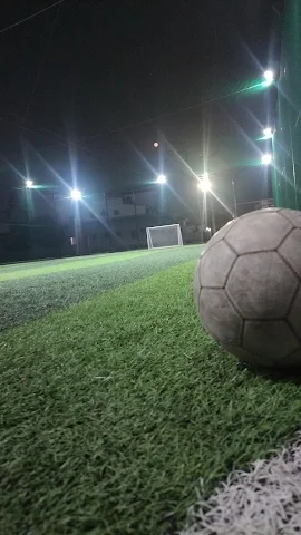 Turf photo 6