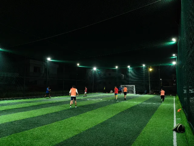 Turf photo 4