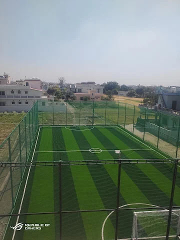 Turf photo 2