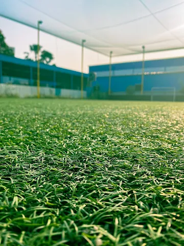 Turf photo 3
