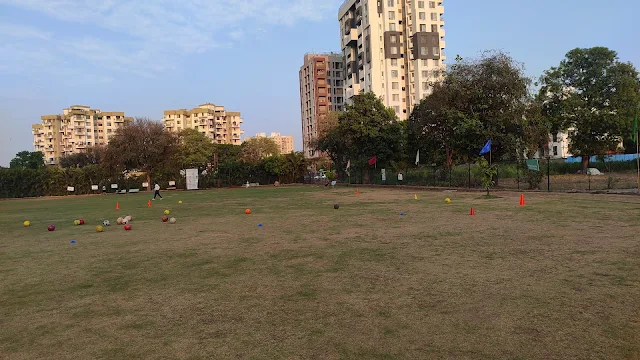 Turf photo 2