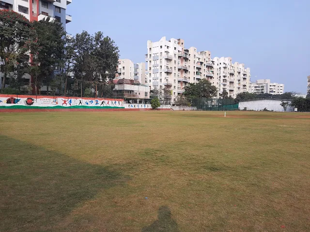Turf photo 5