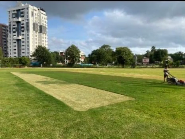 Turf main photo