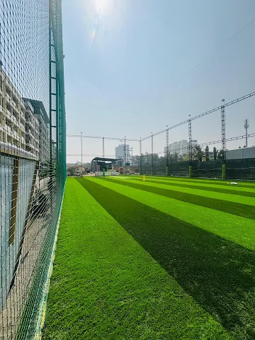 Turf photo 5
