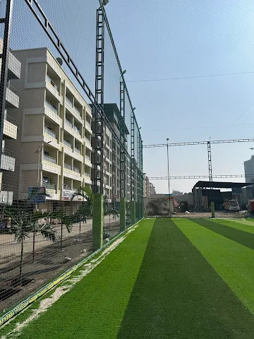 Turf photo 7