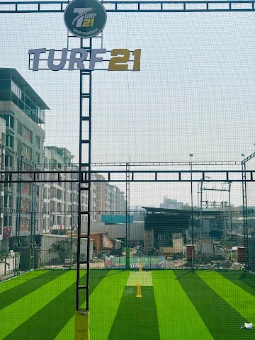 Turf photo 10