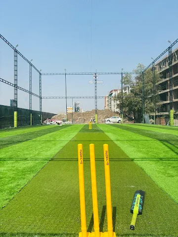 Turf photo 6