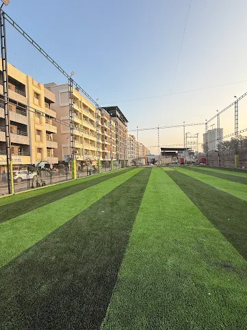 Turf photo 3
