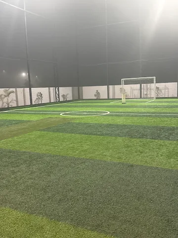Turf photo 2