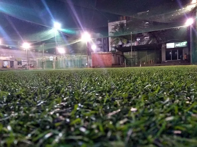 Turf photo 6