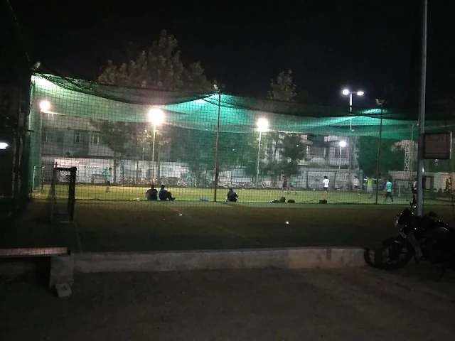 Turf photo 8