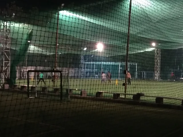Turf photo 10