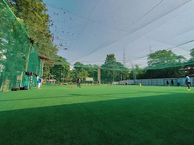 Turf photo 5