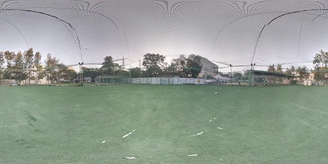 Turf photo 3