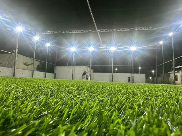 Turf photo 3