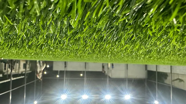 Turf photo 2