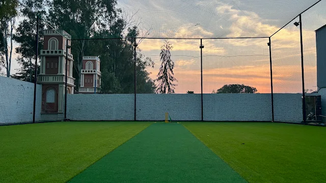 Turf main photo