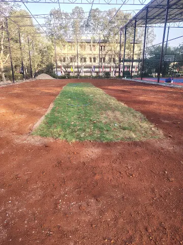 Turf photo 8