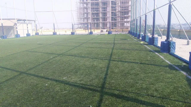 Turf photo 2