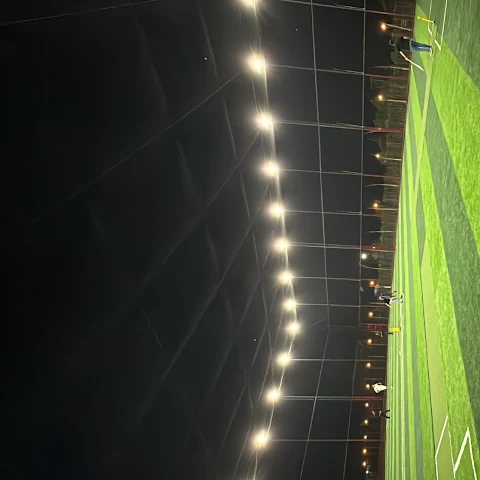 Turf photo 6