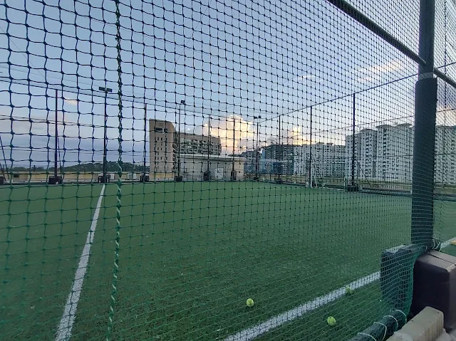 Turf photo 10