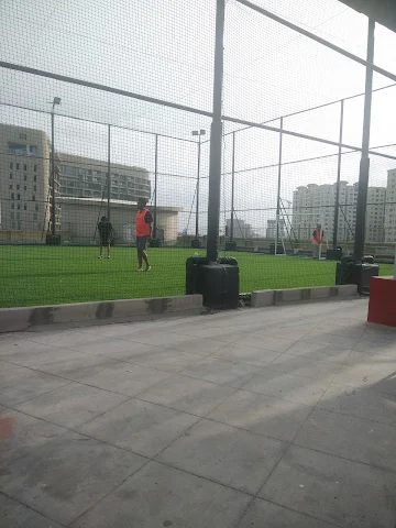 Turf photo 9