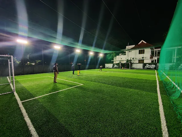 Turf photo 2