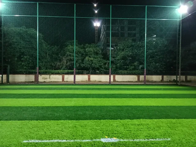 Turf photo 4