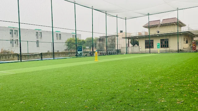 Turf photo 3
