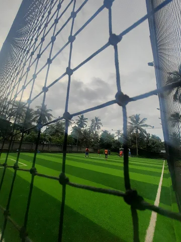 Turf photo 3