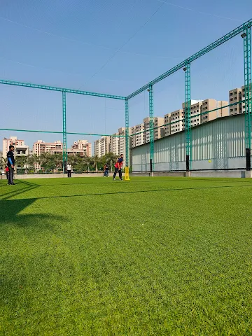 Turf photo 5