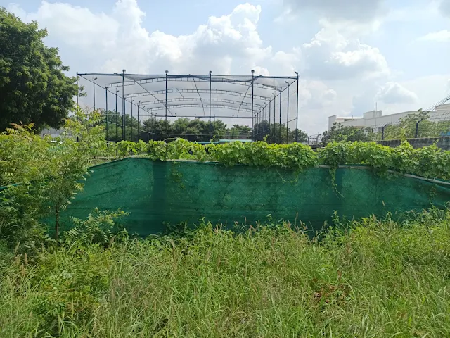 Battle Grounds turf