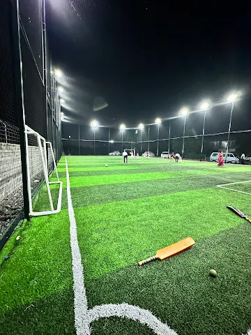 Turf photo 3